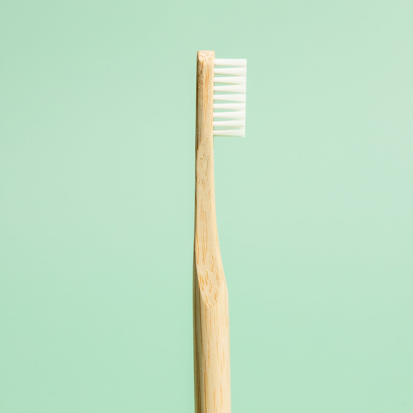 Standard Bamboo Toothbrush