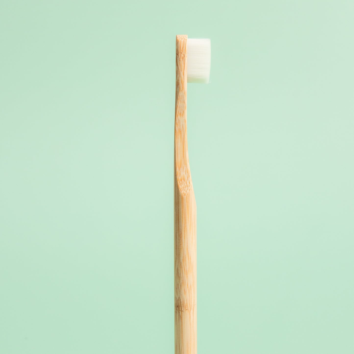 Nano Bamboo Toothbrush